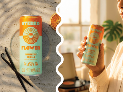 Clementine Vanilla Sparkling White Tea | 10mg THC Per Can