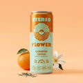 Clementine Vanilla Sparkling White Tea | 10mg THC Per Can