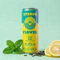 Yuzu Mint Sparkling Green Tea | 10mg THC Per Can