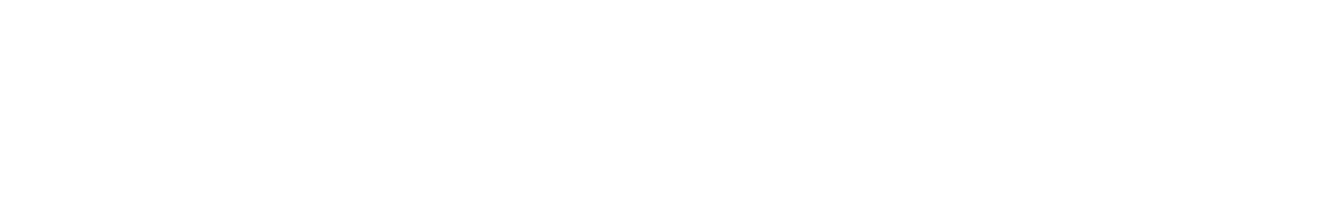 STEREO FLOWER
